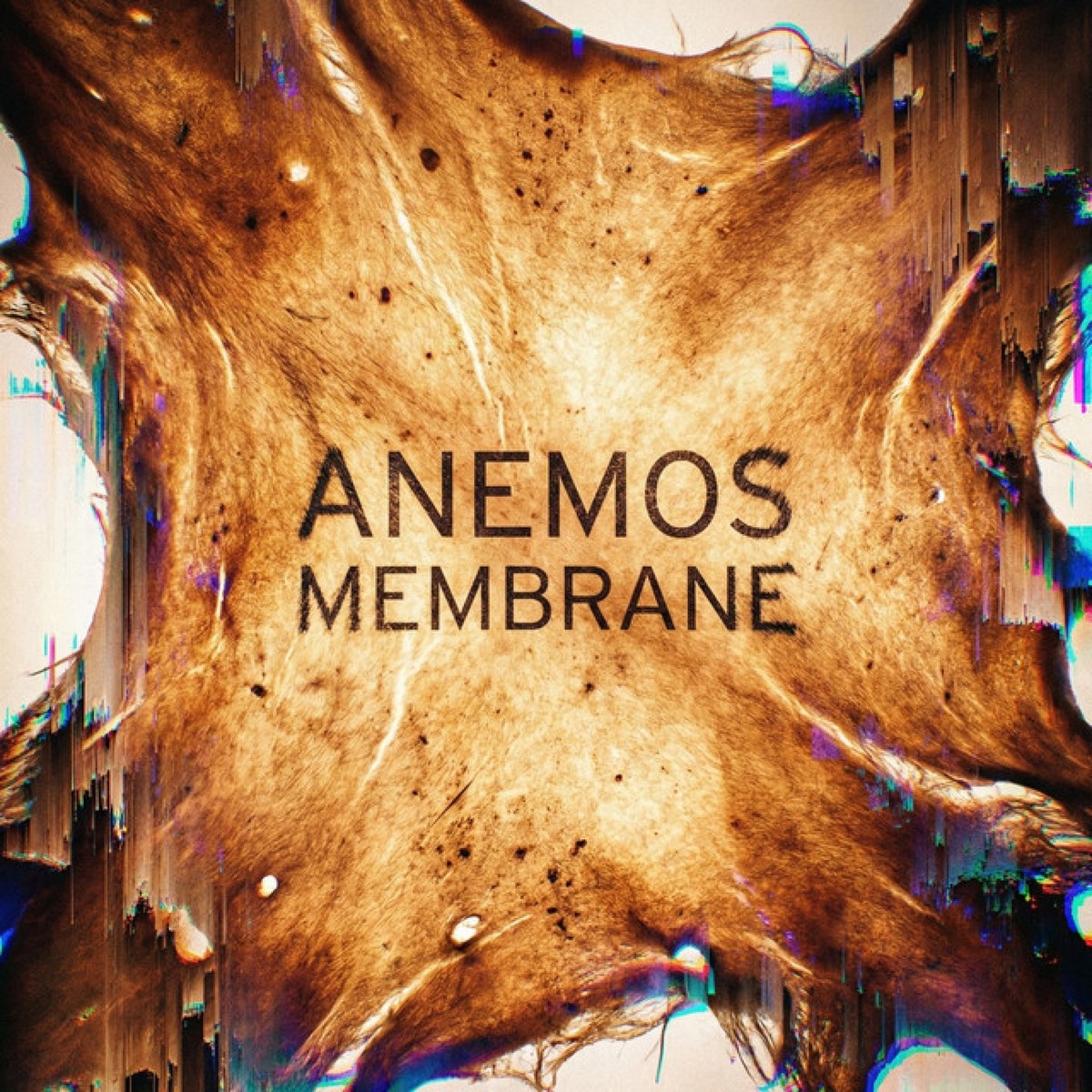 Membrane cover
