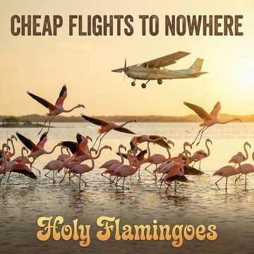 Holy Flamingoes