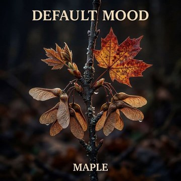 Maple