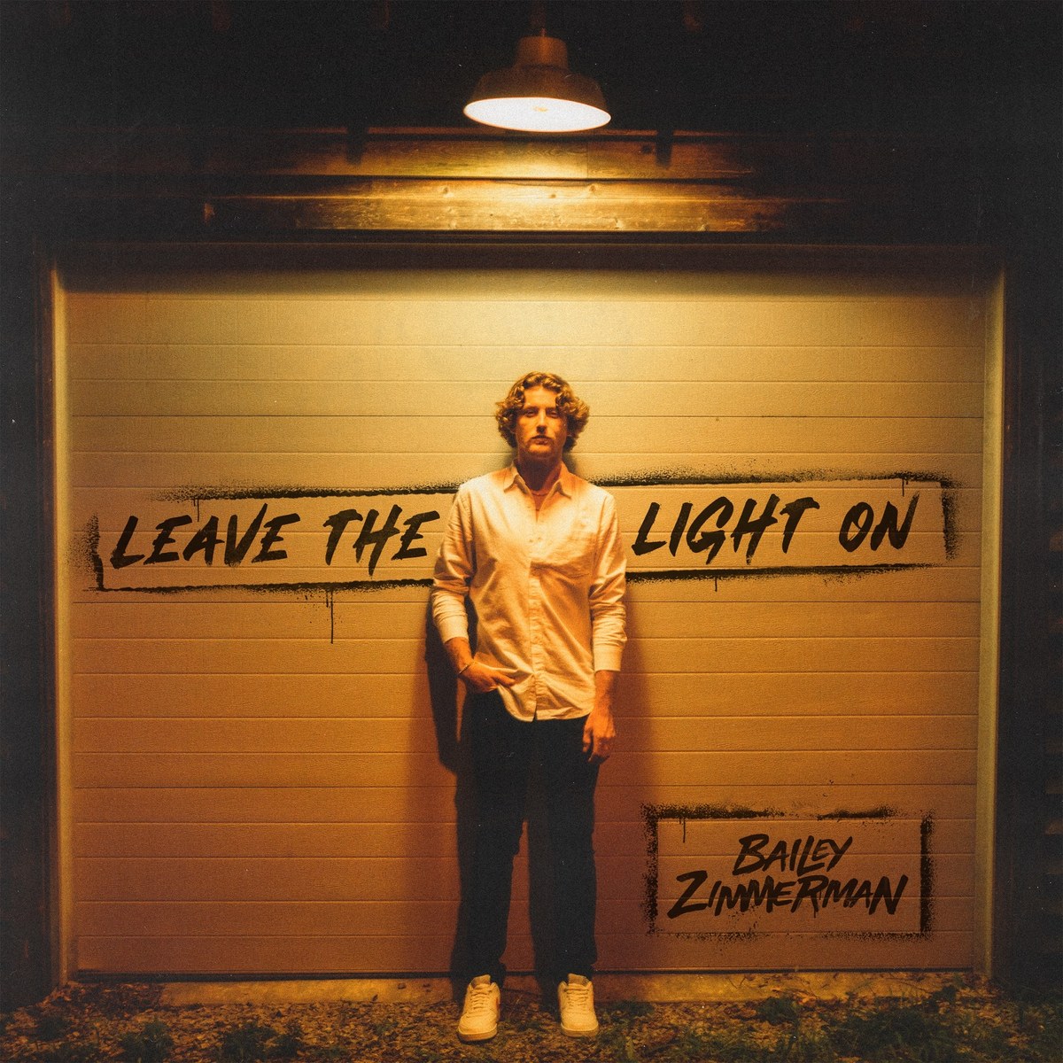 The Light cover