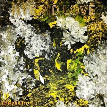 Hybrid Love cover