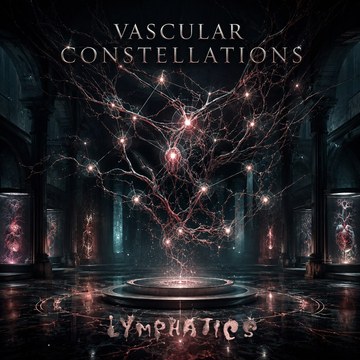 Vascular Constellations